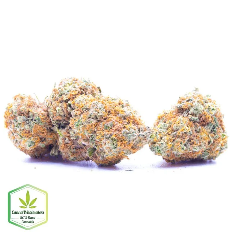 Budget Oz – Fire Haze
