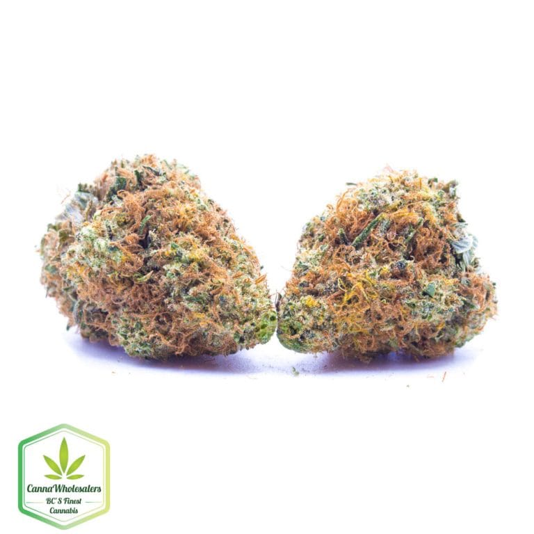 Budget Oz – Cake Bomb