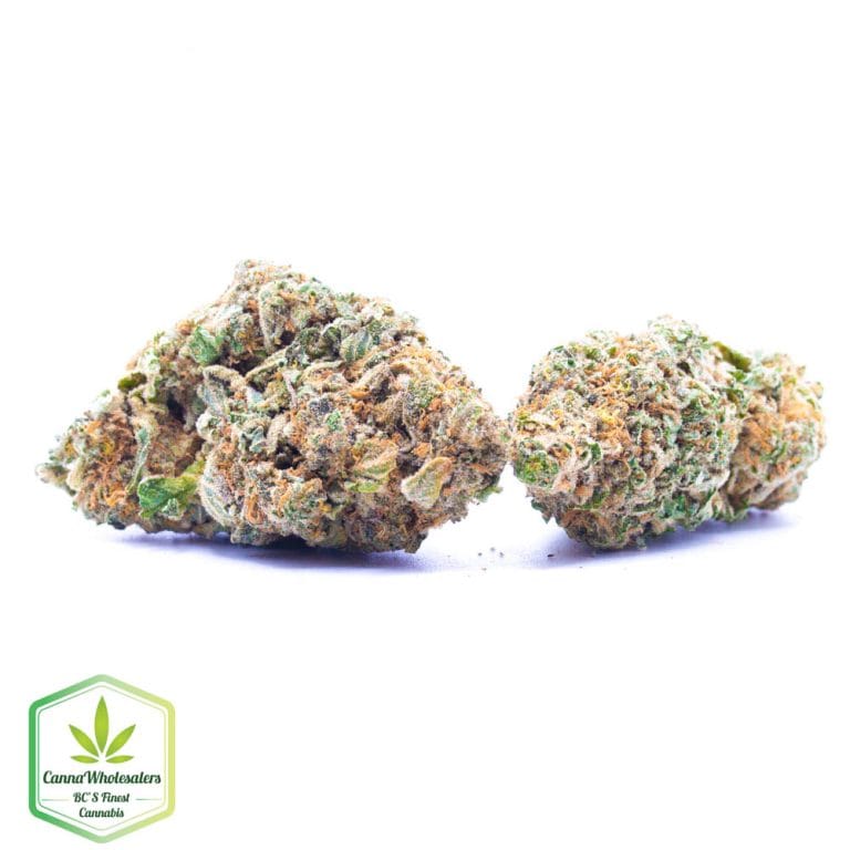 Budget Oz – Dubble Tropicana